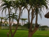 Africa 2 003